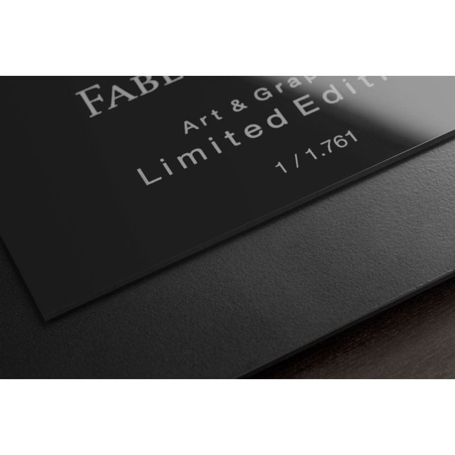 Faber-Castell - Edición Limitada Art & Graphic